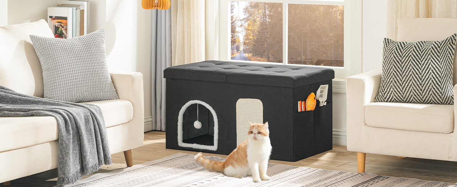 حاوية صندوق القمامة القط