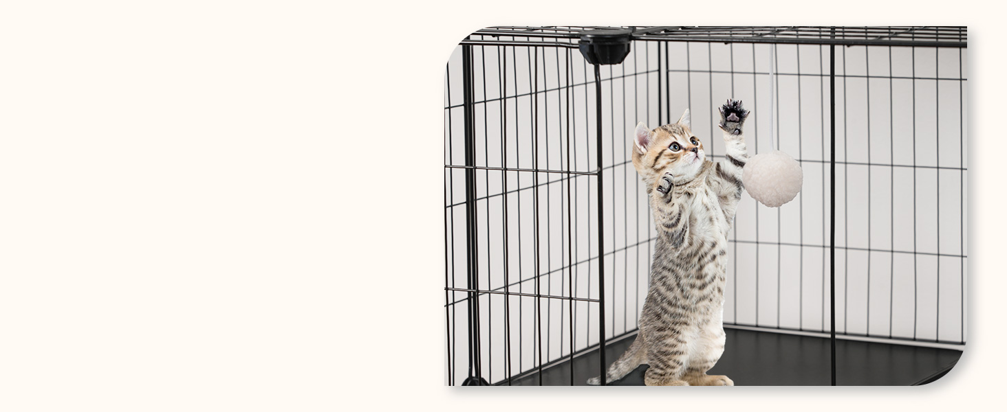 BK02PP03G1N1 Katzenkäfig