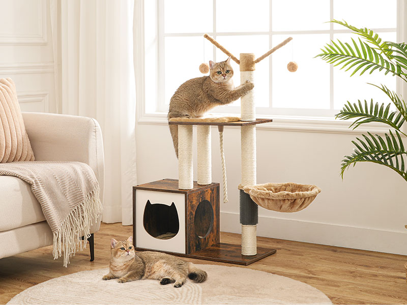 4a6f26e4-0995-4eae-8905-091b3302ef71.__cr0,0,800,600_pt0_sx800_v1___