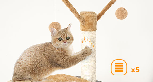 dbae09eb-358d-4a3a-8b22-9aff81e9563f.__cr0,0,650,350_pt0_sx650_v1___