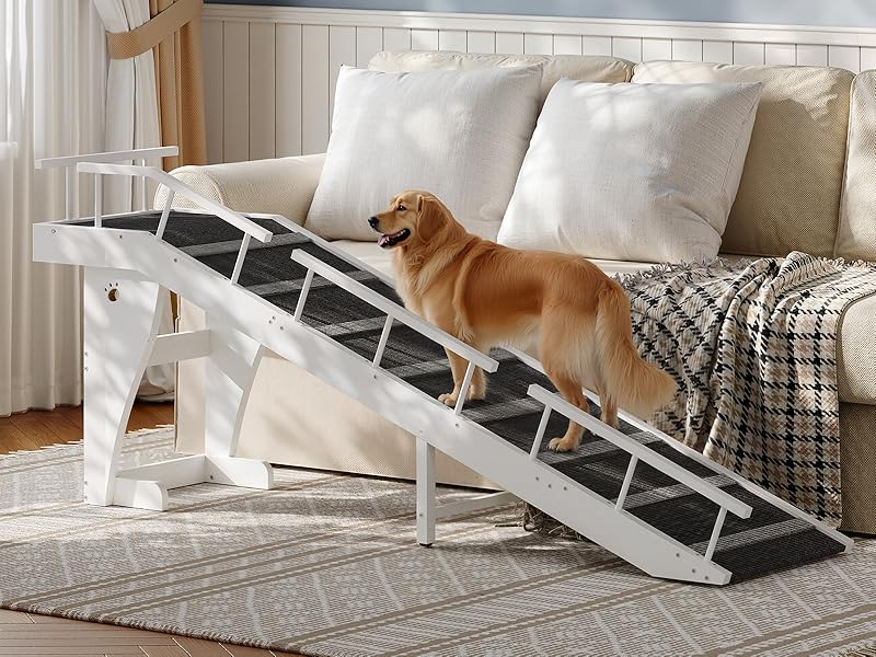 BW18PT03G1 Pies Ramp