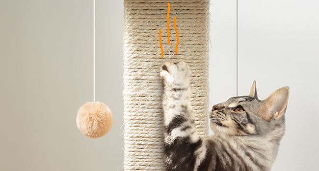 столб из сизаля