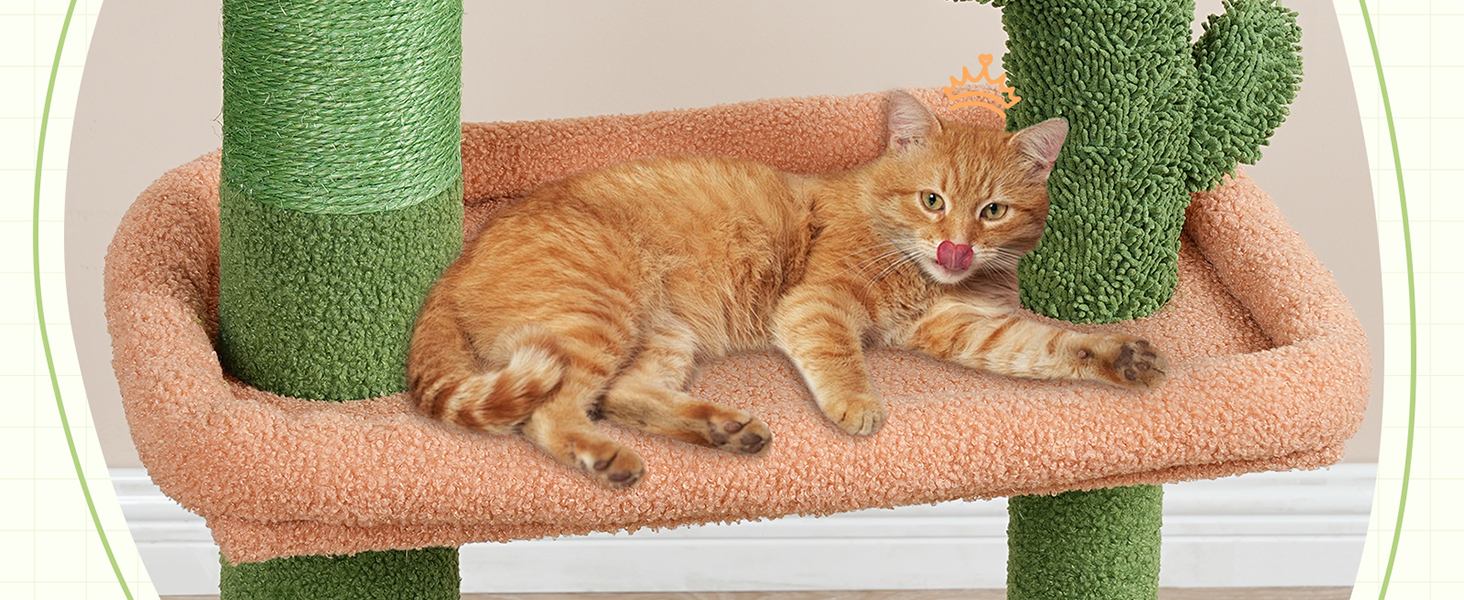 Drapak dla kota w kształcie kaktusa