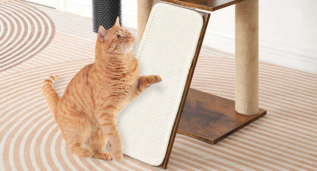 bb1b49a5-518d-4358-8d20-5bf08738c028.__cr0,0,650,350_pt0_sx650_v1___