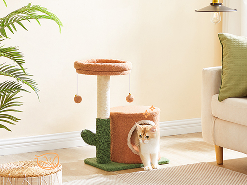 e8b9823d-1c7a-4a1b-a93f-f65f2fc9cc98.__cr0,0,800,600_pt0_sx800_v1___