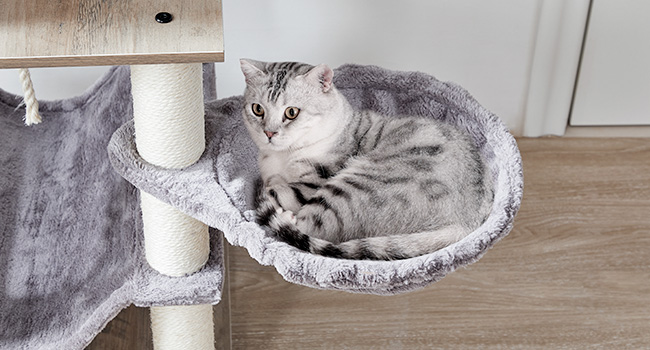 ebec68b8-c071-431a-abea-c57571e1e9ed.__cr0,0,650,350_pt0_sx650_v1___