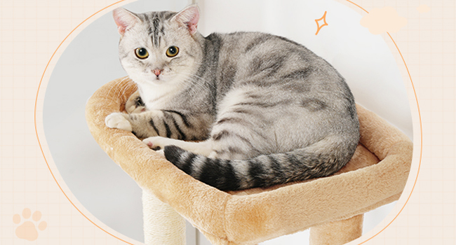 Macskafa alomdoboz-tartóval