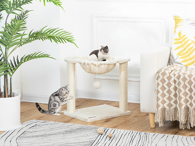 Вежа котячих дерев