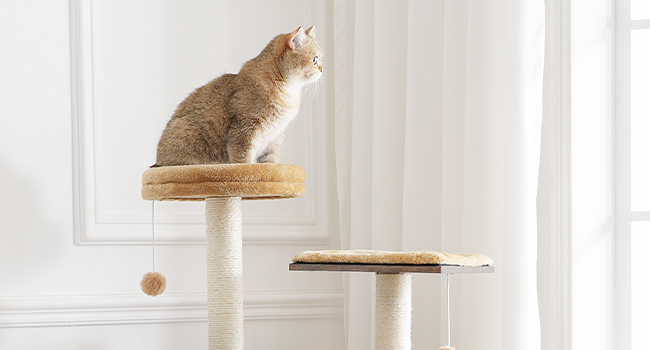 9c12e1cf-ff96-4a88-9c95-24d63d284806.__cr0,0,650,350_pt0_sx650_v1___