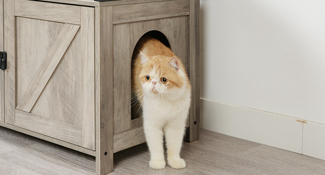 Άνετο σπίτι για γάτες