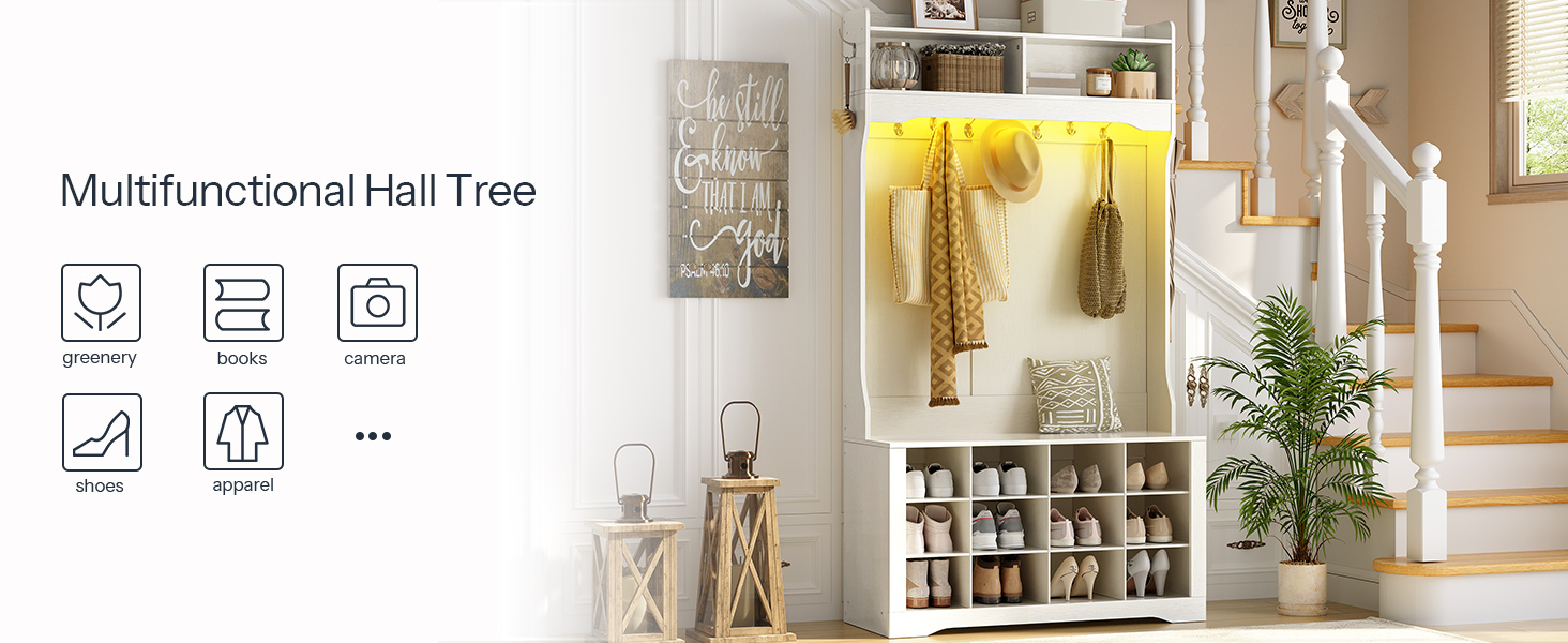 شجرة القاعة