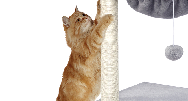 برج شجرة القط