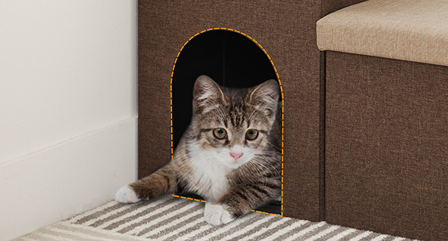 háziállat lépcsők