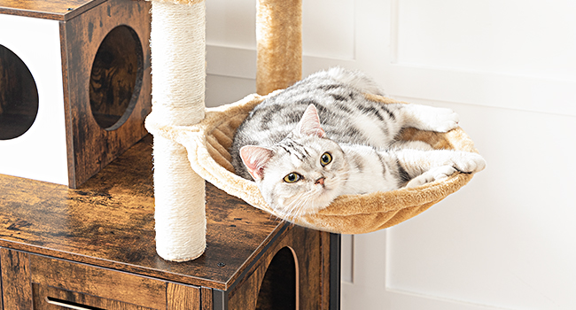 all-in-one indoor cat furniture