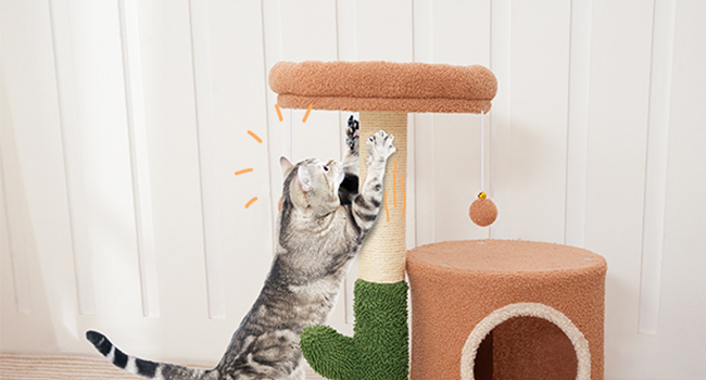 4dd73643-76ec-4211-afaa-a80a2b0e3fb4.__cr0,0,650,350_pt0_sx650_v1___