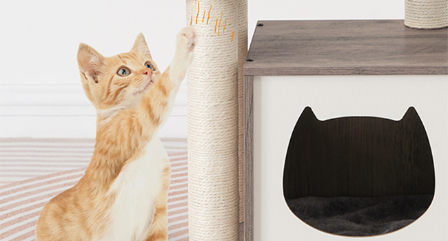 25df7576-77af-48f9-a4bb-db0056c5f578.__cr0,0,650,350_pt0_sx650_v1___