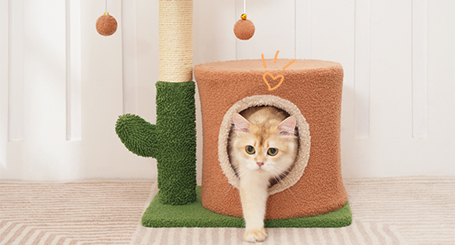 275f3574-1780-4324-977a-18463d3007ce.__cr0,0,650,350_pt0_sx650_v1___