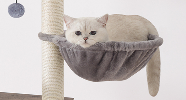 4d207f95-af06-4442-a254-44ef042c8970.__cr0,0,650,350_pt0_sx650_v1___