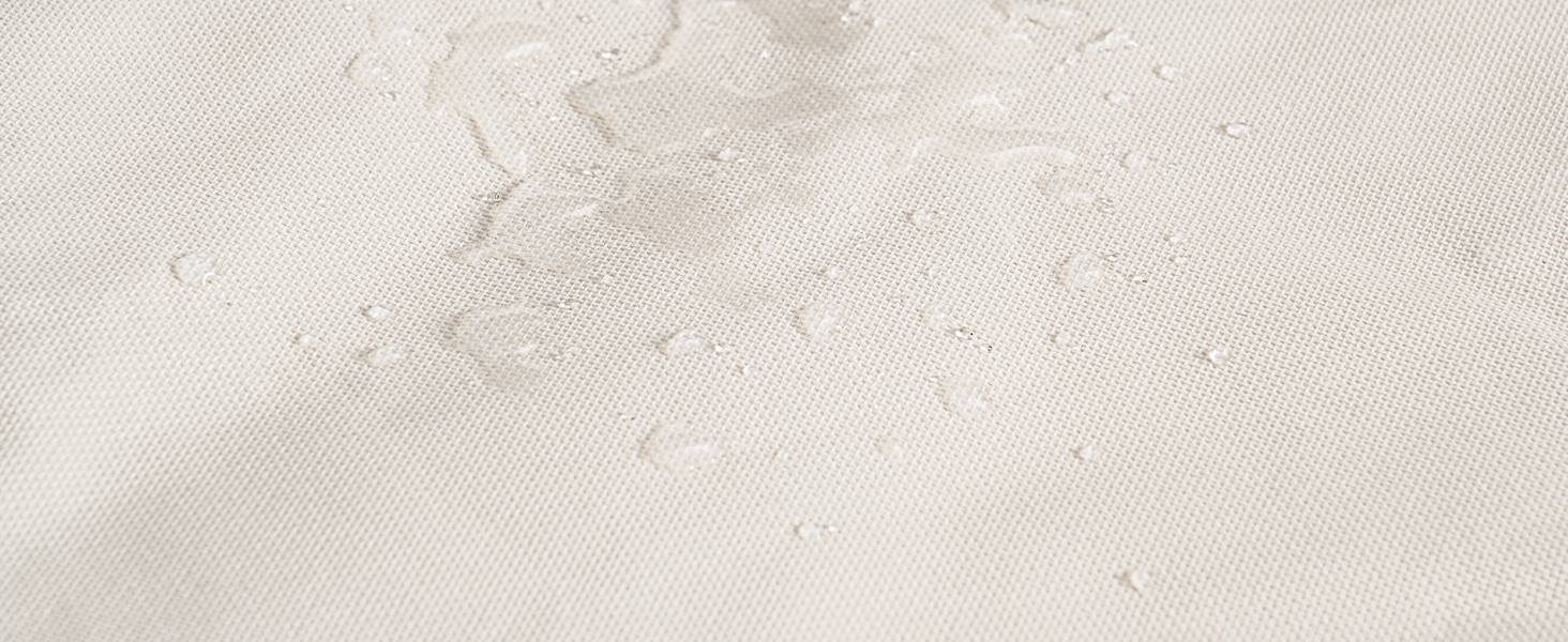 ταξινομητής