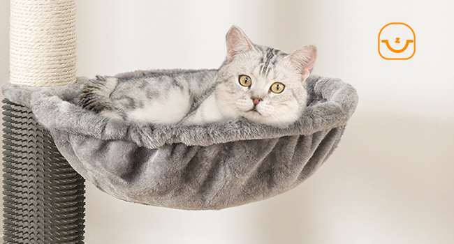 399fb71f-b467-4ff6-847b-37ef7e921458.__cr0,0,650,350_pt0_sx650_v1___