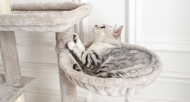 kattetre med søppelkasse