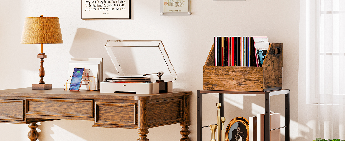 Vinylrecordopslag, vinyl platendoos kofferkrat