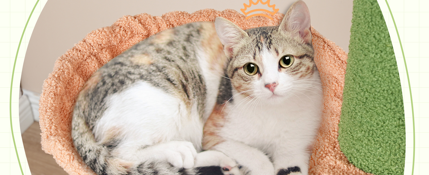 Wieża Cat od podłogi do sufitu