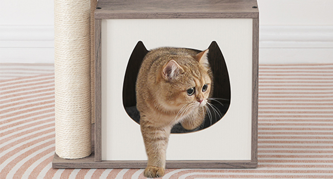 17ea1828-e8c8-46e2-97c5-40ab6cd58633.__cr0,0,650,350_pt0_sx650_v1___