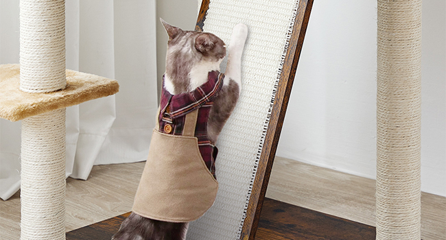 92afe9d8-e8c9-4437-b516-a84cbcf38d29.__cr0,0,650,350_pt0_sx650_v1___