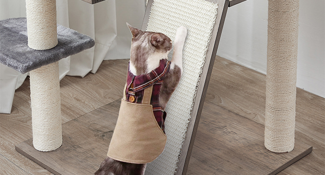 69a78476-41e9-4663-b824-e4f6a7486111.__cr0,0,650,350_pt0_sx650_v1___