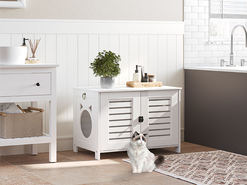 кошачьи корпуса