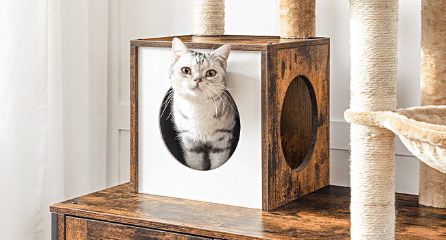all-in-one indoor cat furniture