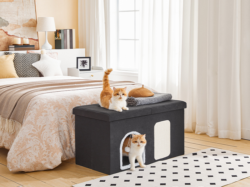 حاوية صندوق القمامة القط