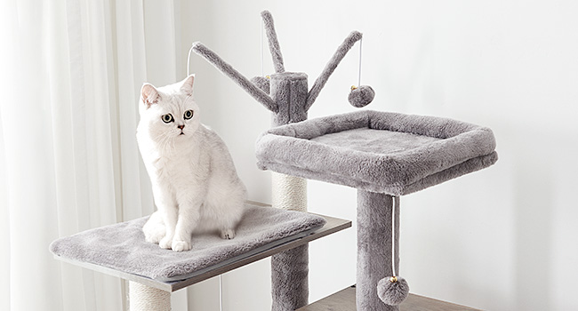 2c4c6b4f-7266-4171-8fbc-2867004e7471.__cr0,0,650,350_pt0_sx650_v1___