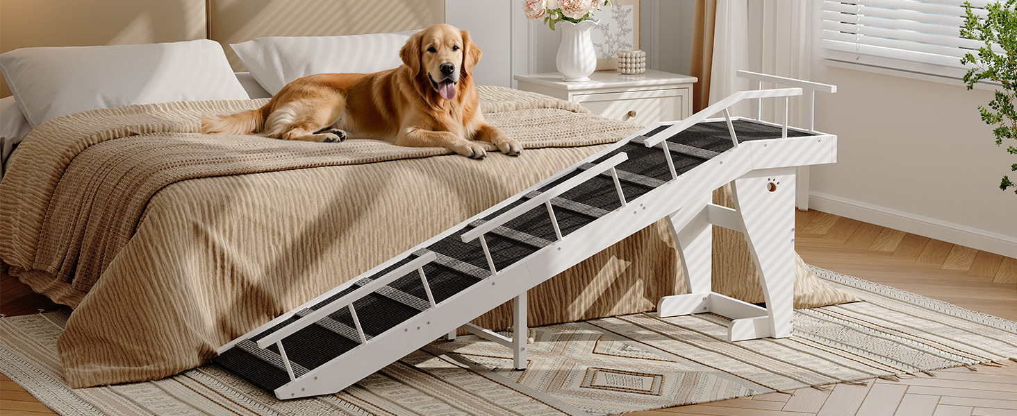 BW18PT03G1 Pies Ramp