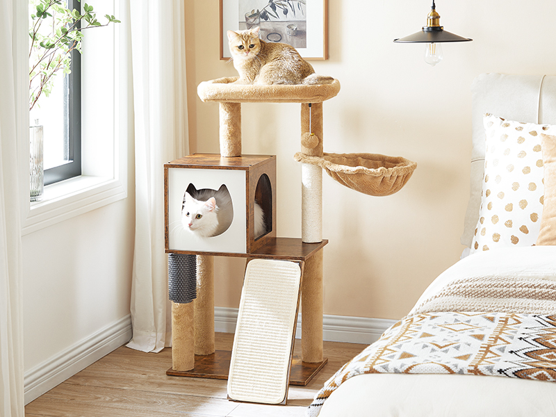 392de40d-e12e-4122-aeff-306b7527be3d.__cr0,0,800,600_pt0_sx800_v1___