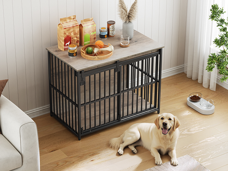 BG162GW03G1 Crate Mobili per cani