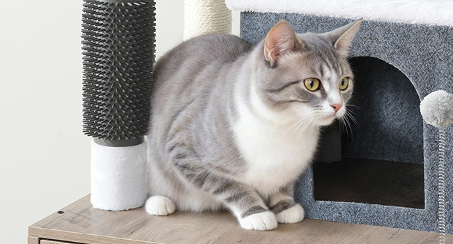 Натирание поста