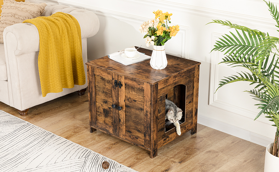 в приміщенні котячий будинок