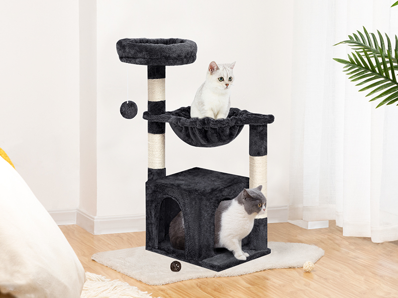 Μικρό δέντρο γάτας