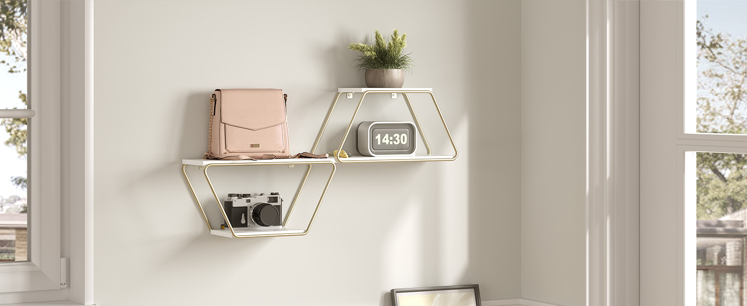 Seilfeanna snámha traipéiseacha