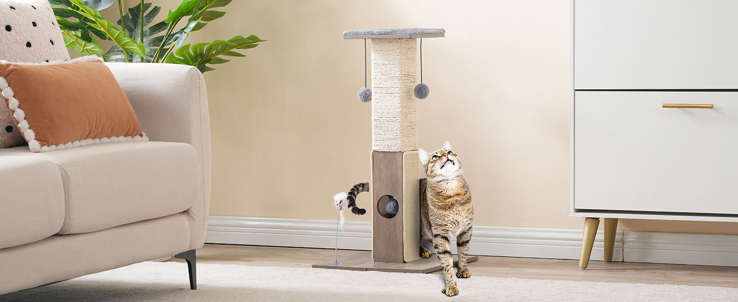 Cat Scratching Post