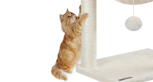 Вежа котячих дерев