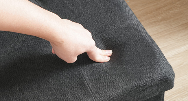 حاوية صندوق القمامة القط