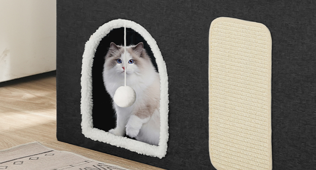 حاوية صندوق القمامة القط