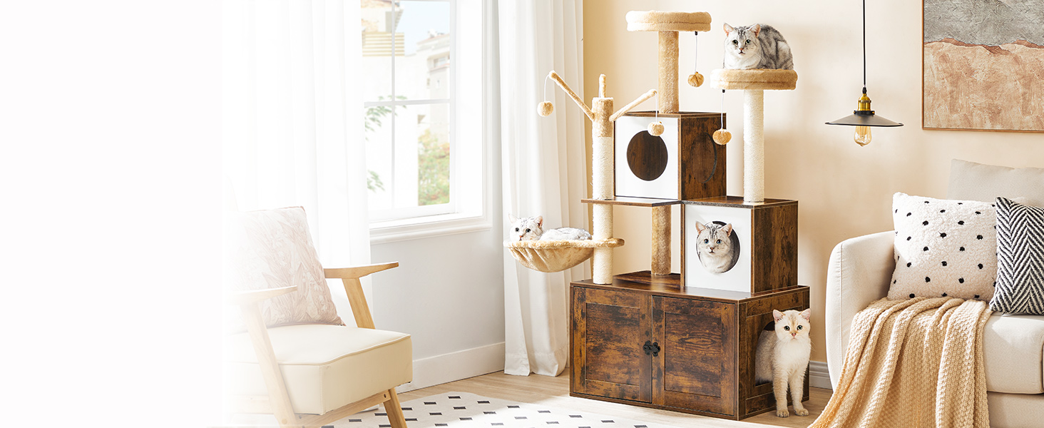 abb6747e-b71c-4bdb-bed6-7c3ffa9e9063.__cr0,0,1464,600_pt0_sx1464_v1___