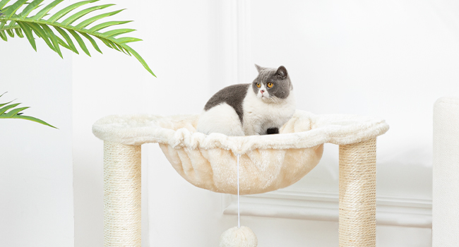 Вежа котячих дерев