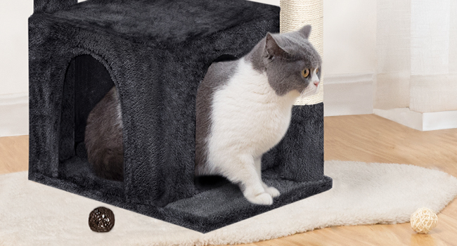 Μικρό δέντρο γάτας