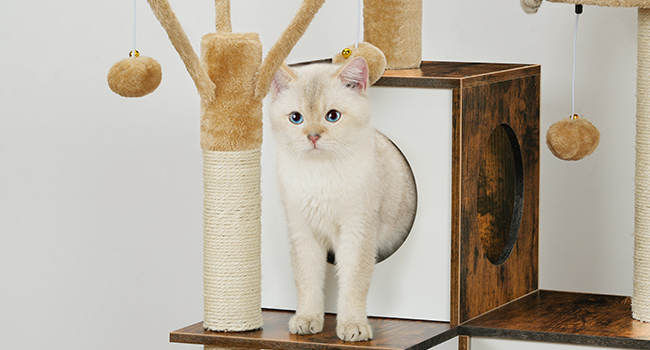 7d60bb4e-434e-4f82-8d12-e34174872cc6.__cr0,0,650,350_pt0_sx650_v1___