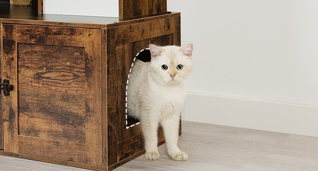 3dc86d01-4aae-4fb4-989d-9410d9e1cbdc.__cr0,0,650,350_pt0_sx650_v1___